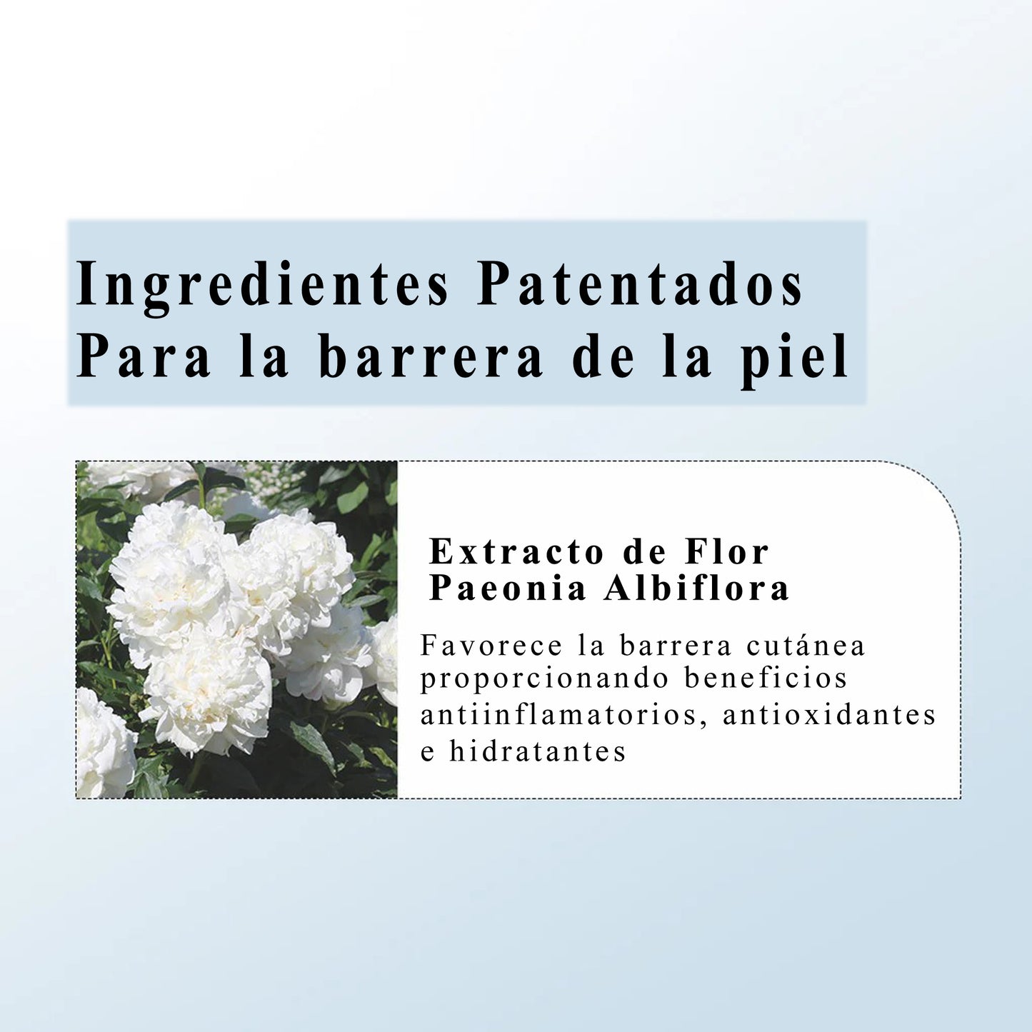Dr Althea - Crema Intensiva 147 Barrier-Cream