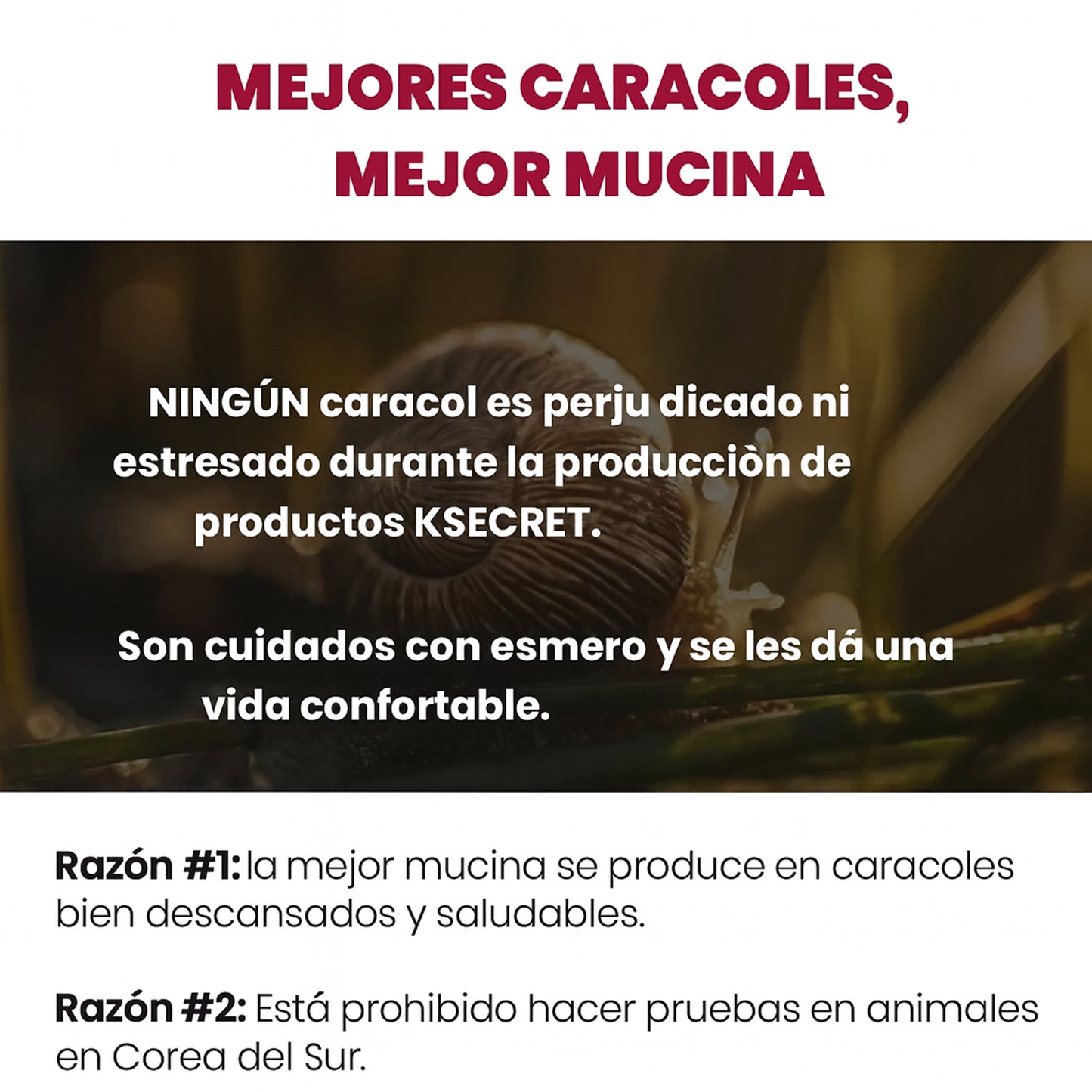 Crema regeneradora Snail 93% + Rice