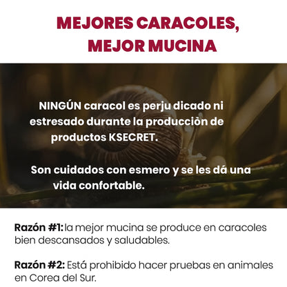Crema regeneradora Snail 93% + Rice